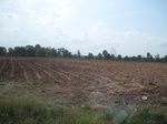 34386IMG_5300.JPG