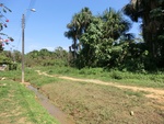 2012-08-31_10-24-37_CIMG0100.JPG