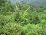 15286IMG_4118.JPG