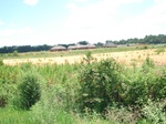 32452p118.jpg