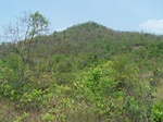 17416100_2102.JPG