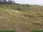 4542007-08-05_08-59-45_tag.jpg