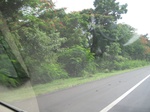 26675IMG_2971.JPG