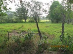30038IMG_5360.JPG