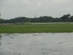 21985DSC00096.JPG