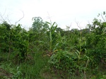 18378P1000214.JPG