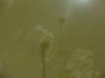 58565CIMG3015.JPG