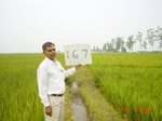 6728gt167-cropland-1.jpg