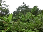 45553CIMG2638.JPG
