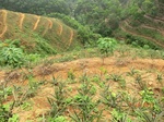 53581CIMG6934.JPG
