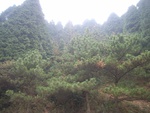 442820071011gps 021.jpg