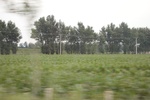 2024-08-05_16-09-01_6714BA06-9FF9-4133-8631-E109D0F97D6B.jpeg