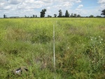 43731NSW005_L4.jpg