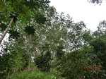 53593CIMG6949.JPG