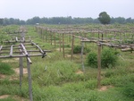 34611RIMG0078.JPG