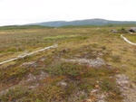 24897DSC00019.JPG