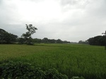 22129DSC00371.JPG
