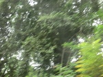 48166CIMG4503.JPG