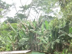 48906CIMG5243.JPG