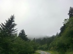 57454CIMG3787.JPG