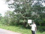 7716gt0122b-forests-young-secondary-forest-dominated-by-shrubs.jpg