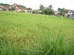 14263IMG_4603.JPG
