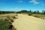 28491P1010502-1.JPG