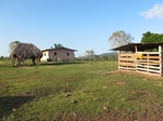 32051IMG_5682.JPG