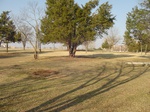 10078DSC02804.JPG