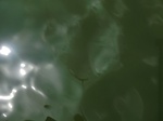 58419CIMG2868.JPG