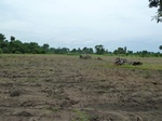 18431P1000267.JPG