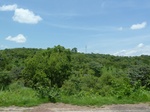 19588P1010435.JPG