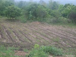 28221RIMG0220.JPG