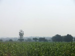 56360CIMG7913.JPG