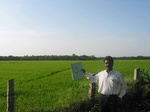 7693gt003-cropland-irrigated-rice-plantations.jpg