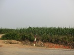 32878CIMG2012.JPG