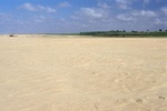 43641pic2.jpg