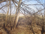 10082DSC02808.JPG