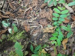 46718DSC02053.JPG