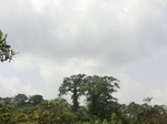 49576CIMG5913.JPG