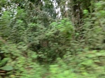 47334CIMG3671.JPG