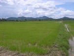 26213RIMG0266.JPG