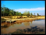 39651nEO_IMG_CIMG0427.jpg