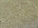 23083P1020582.JPG