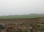 45876CIMG3078.JPG