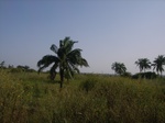 8998RIMG0074.JPG