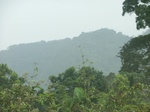 47682CIMG4019.JPG