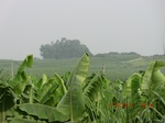 33134CIMG2370.JPG