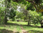29561IMG_5183.JPG