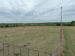 29327P1070254.JPG